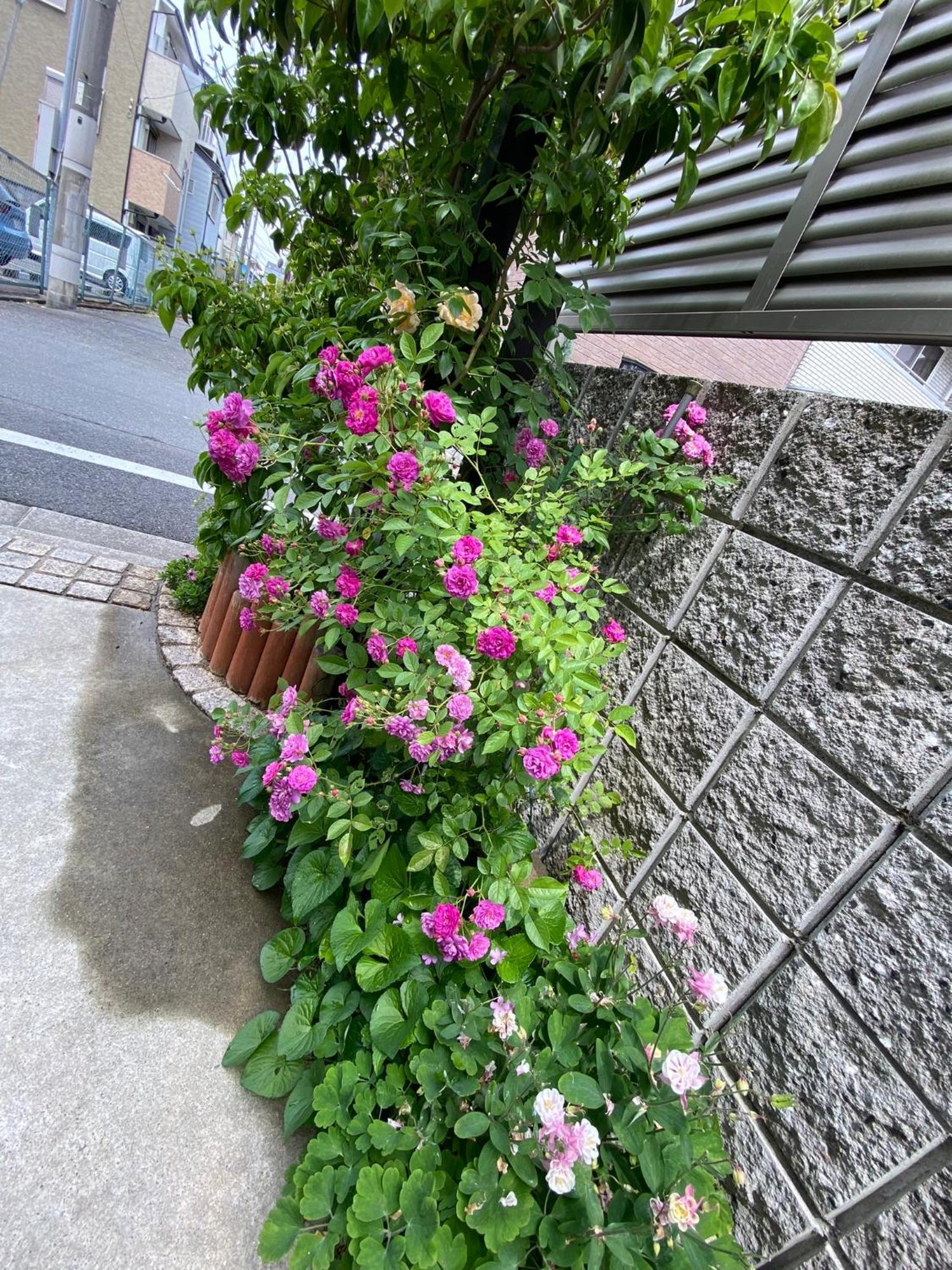 遥華-Haruka House Hotel Kyoto Ngoại thất bức ảnh